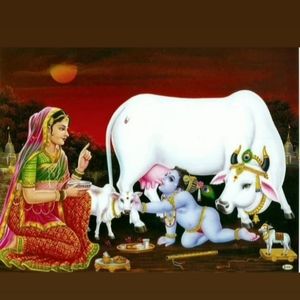 Meet your Posher, Ragini